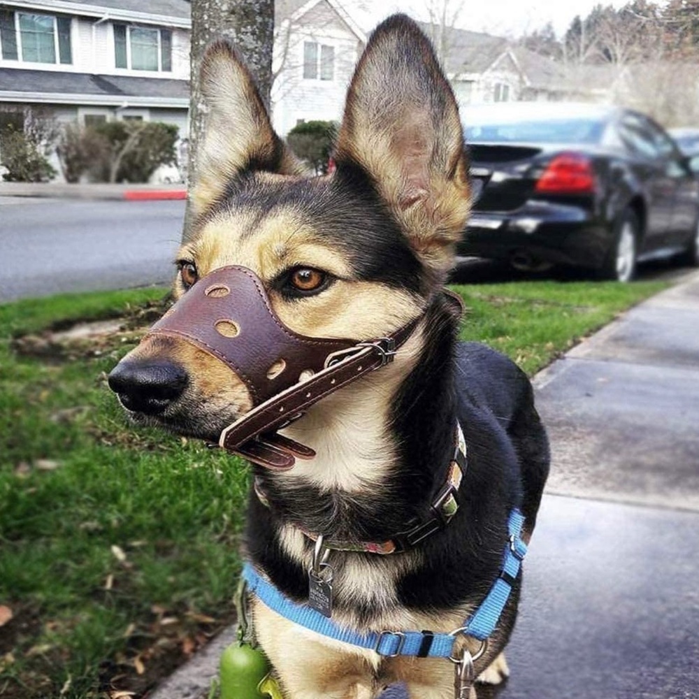 Dog Muzzle Leather, Comfort Secure Anti-Barking Muzzles for Dog